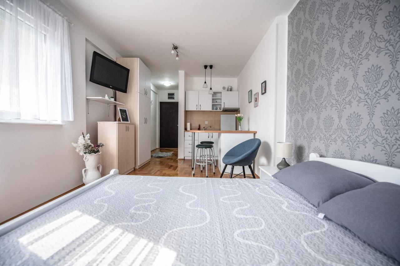נובי סאד Stella Modern Apartment 2 מראה חיצוני תמונה