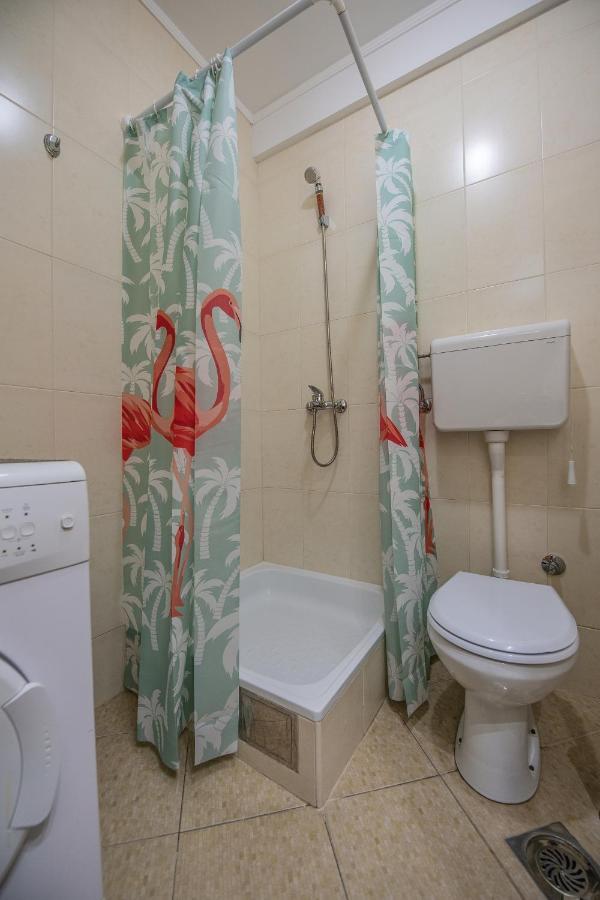 נובי סאד Stella Modern Apartment 2 מראה חיצוני תמונה